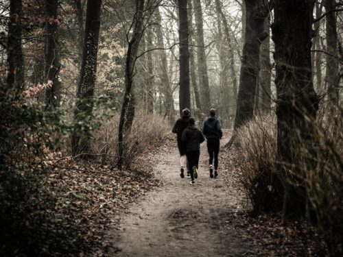 Tre barn springer i skogen