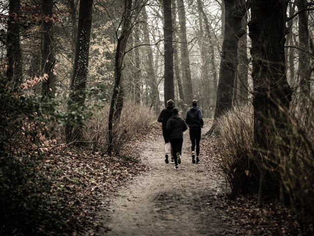 Tre barn springer i skogen